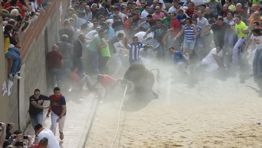 Carrera del Enmaromado 2016