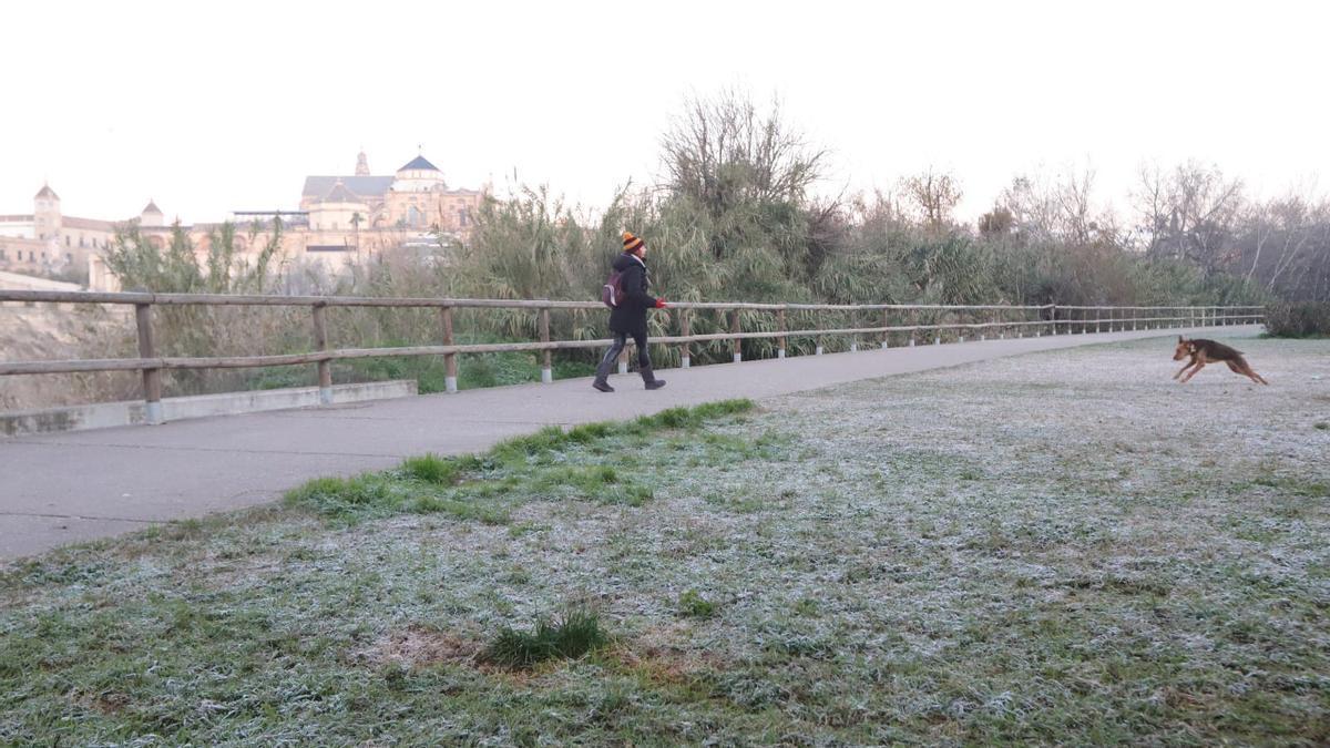 Una mujer pasea al perro durante un día de frío en Córdoba