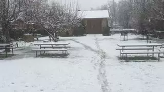 Activada la Alerta en Sanabria por temporal de nieve