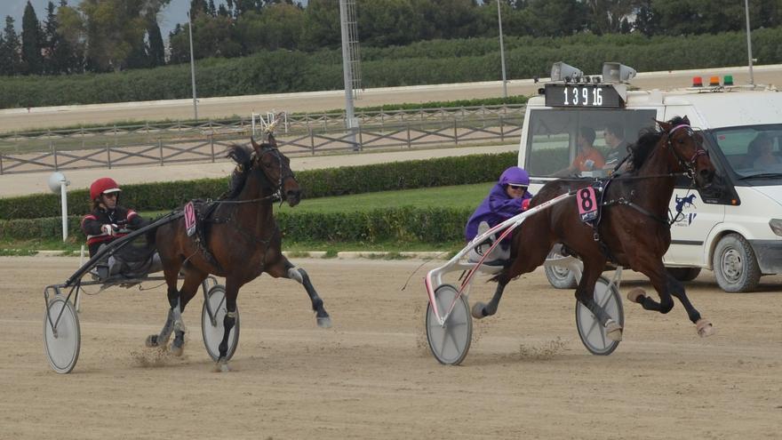 Gran Premi Nacional | Legend Victory es un rival demoledor