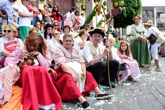 Procesion y Romeria por las Fiestas de las ...