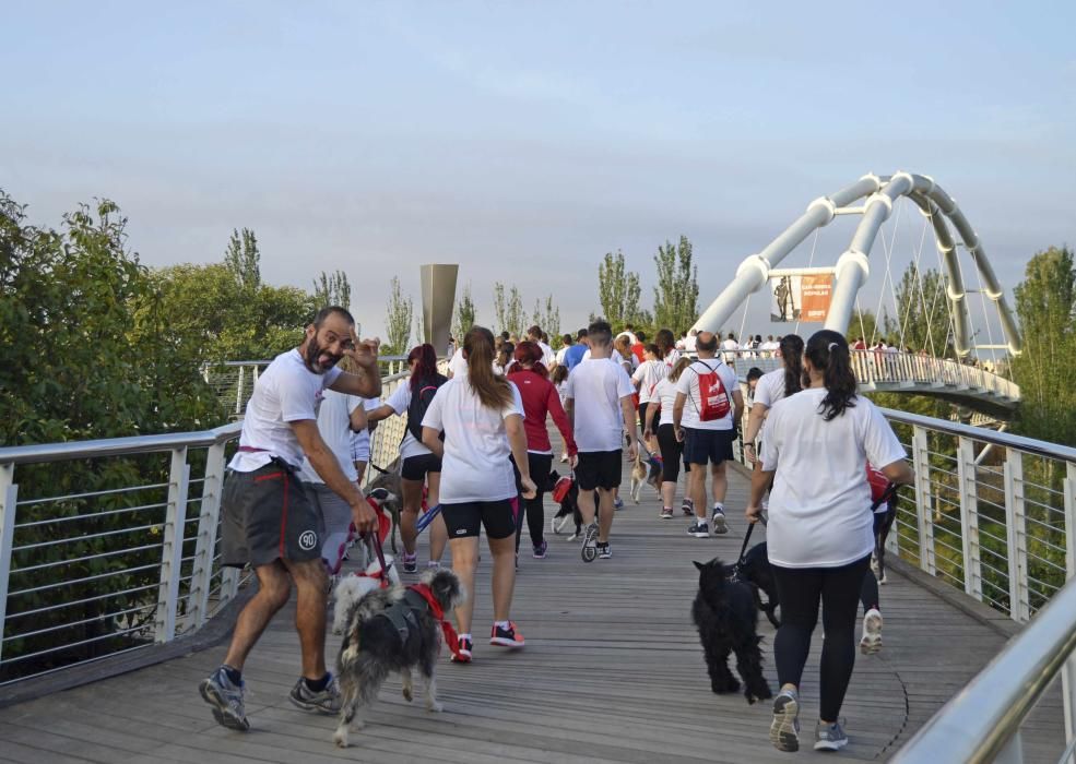 Los participantes en la cuarta Can-rrera.