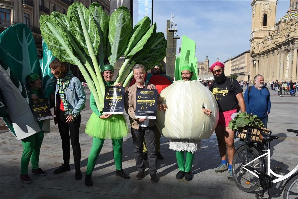 Miles de personas comen en la plaza del Pilar alimentos que iban a desecharse