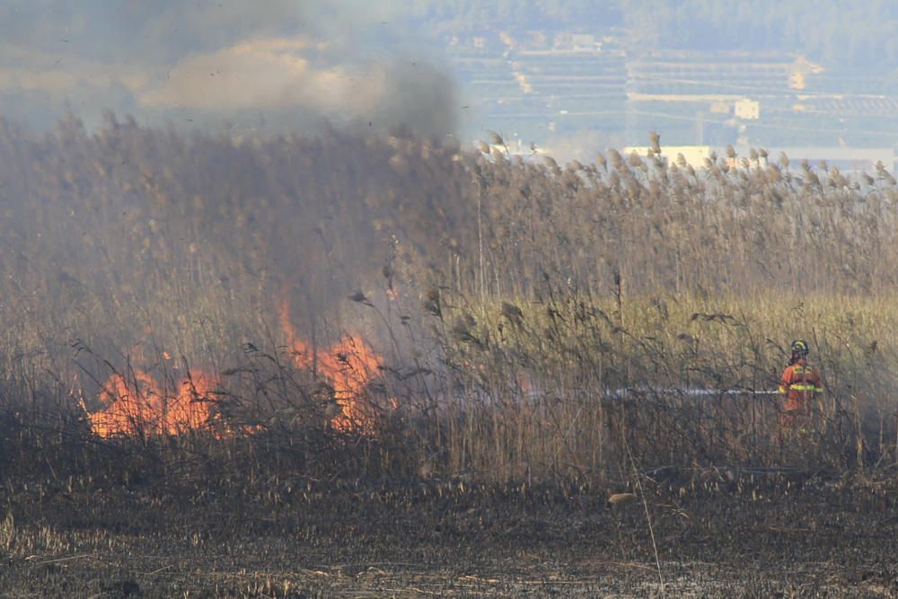 Incendio en el marjal de Gandia