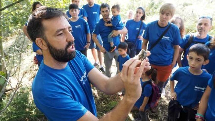 Banyoles: Voluntariat ambiental a l&#039;estany