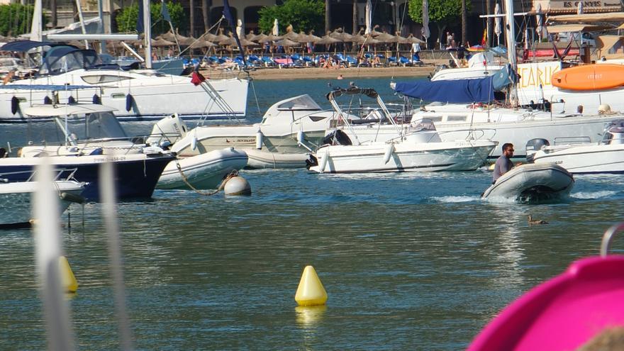 Una empresa proyecta un campo de boyas privado en el Port de Sóller