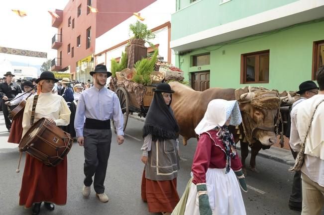 ROMERIA DE SAN ISIDRO GALDAR