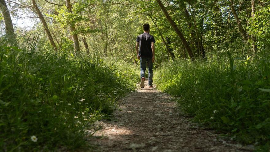 El Gobierno de España &quot;reverdecerá&quot; la ciudad de Zamora