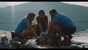 videoplayback