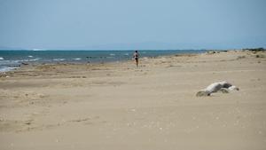 Un hombre pasea por la playa del Serrallo, totalmente desierta, la semana pasada. 