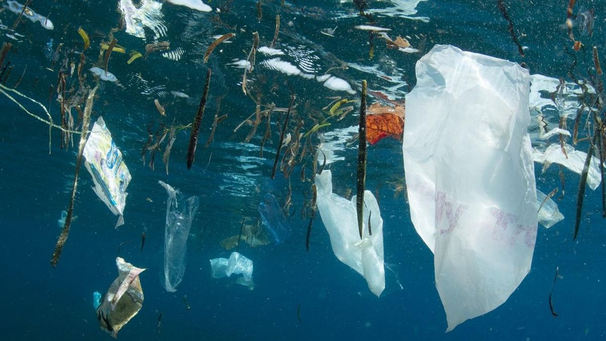 Basura plástica flotando en el mar