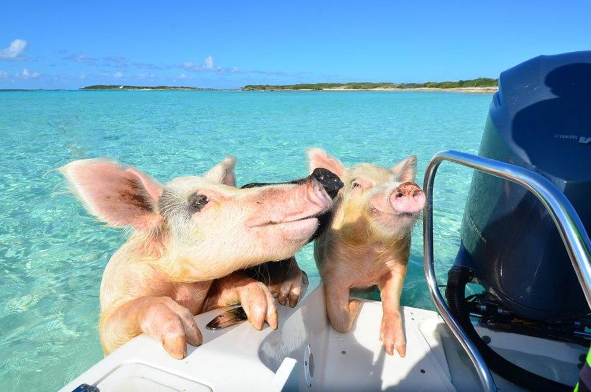 Saludando a los turistas