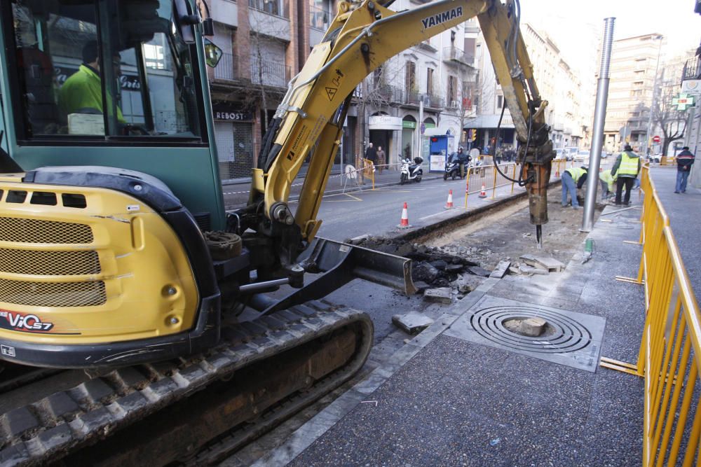 Vuit arbres talats pel carril bici de Santa Eugènia