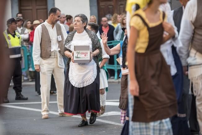 Romeria de MOYA.