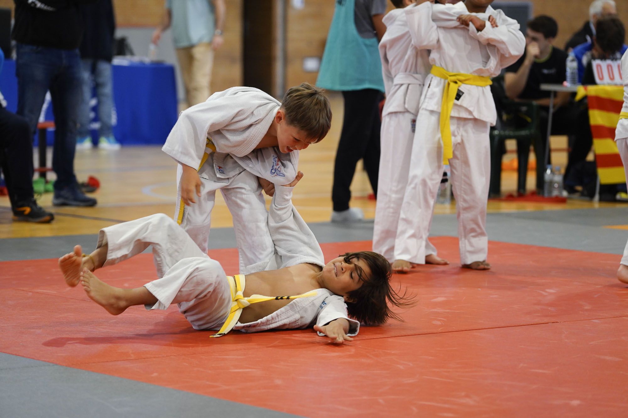 Les imatges del torneig infantil de judo de l'Escola 7