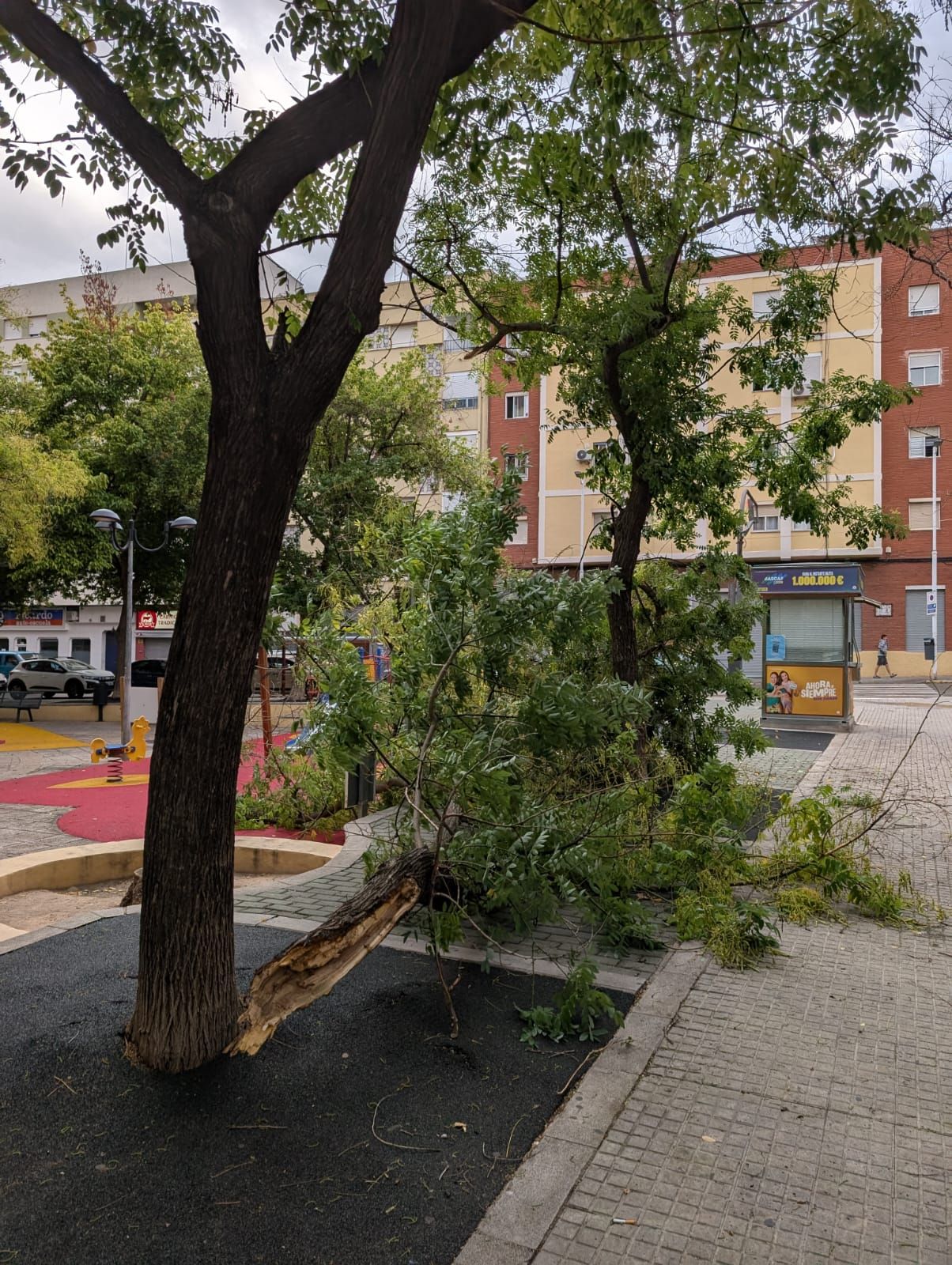 Coches abollados y árboles rotos por la granizada en Xátiva