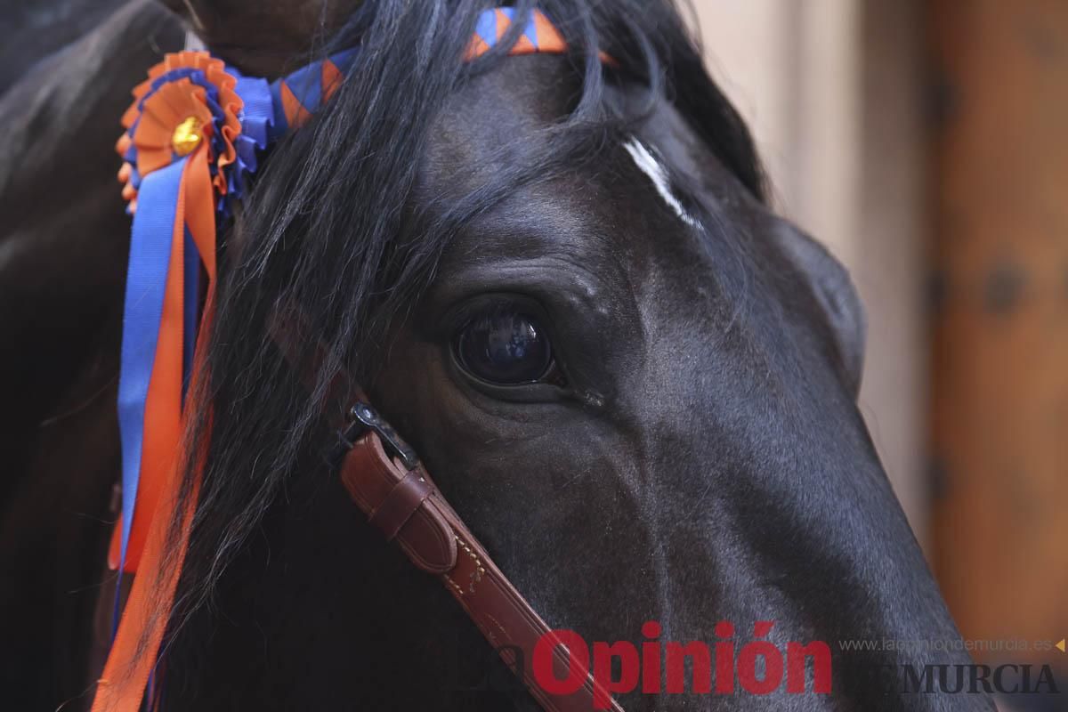 Concurso de caballo a pelo: pasacalles hasta el Hoyo en Caravaca