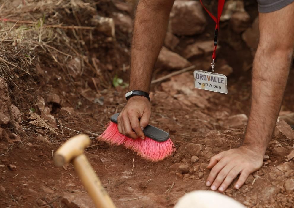 Excavación en el castro de Boinas