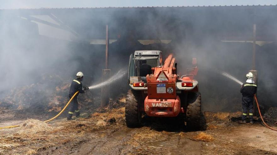 Nave agroganadera en el municipio de Fonfría, afectada por el incendio de Pino del Oro del pasado julio.