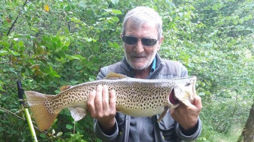 Así es la trucha gigante pescada hoy en el río Sella