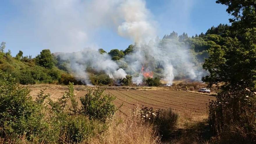 Incendio forestal en Valleseco (30/06/21)