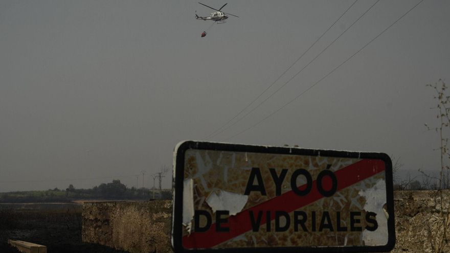 El día después de la extinción en Zamora del mayor incendio forestal del verano en España: ¿Y ahora, qué?