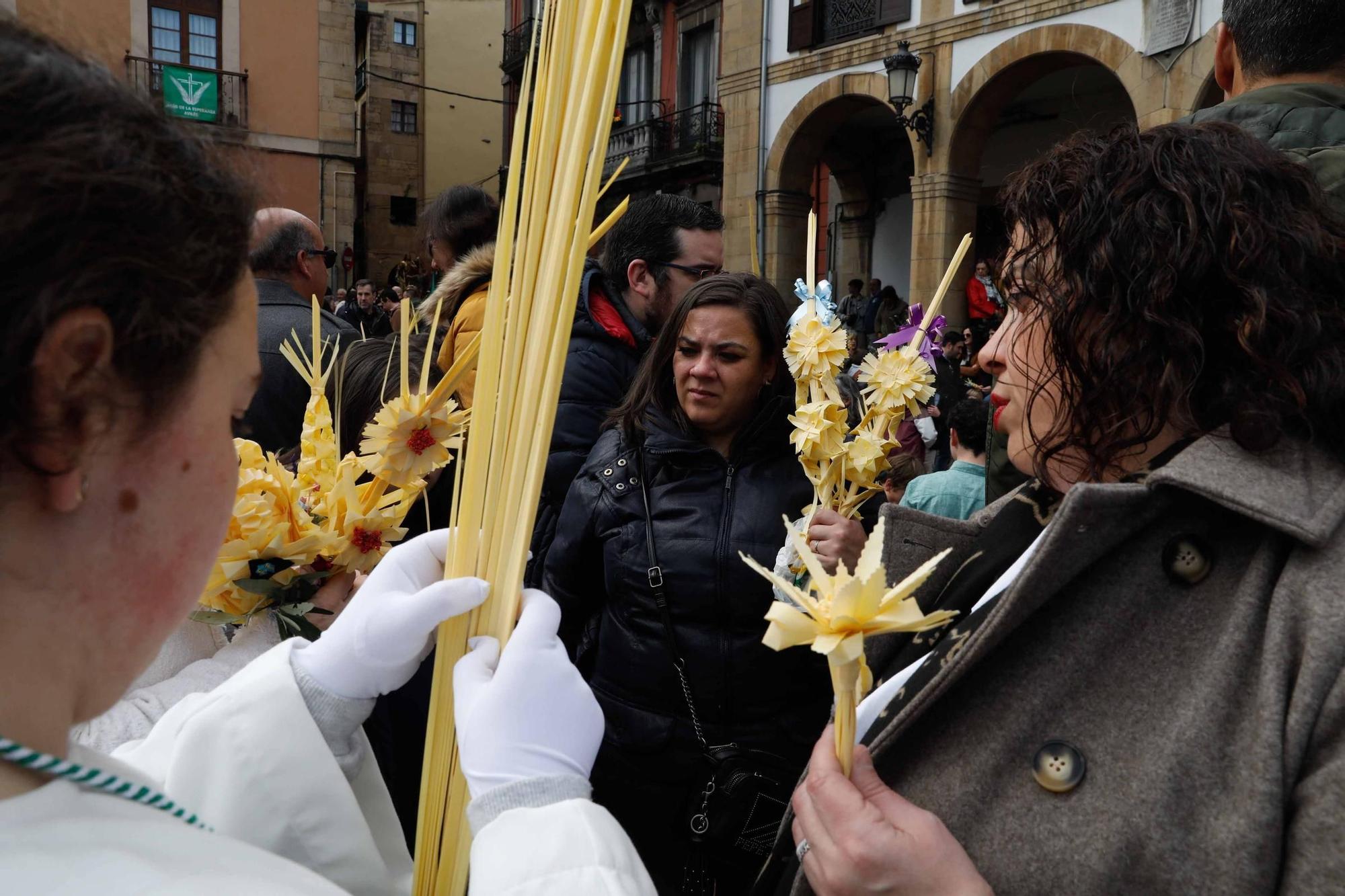 Multitudinaria bendición de ramos y procesión de La Borriquilla en Avilés