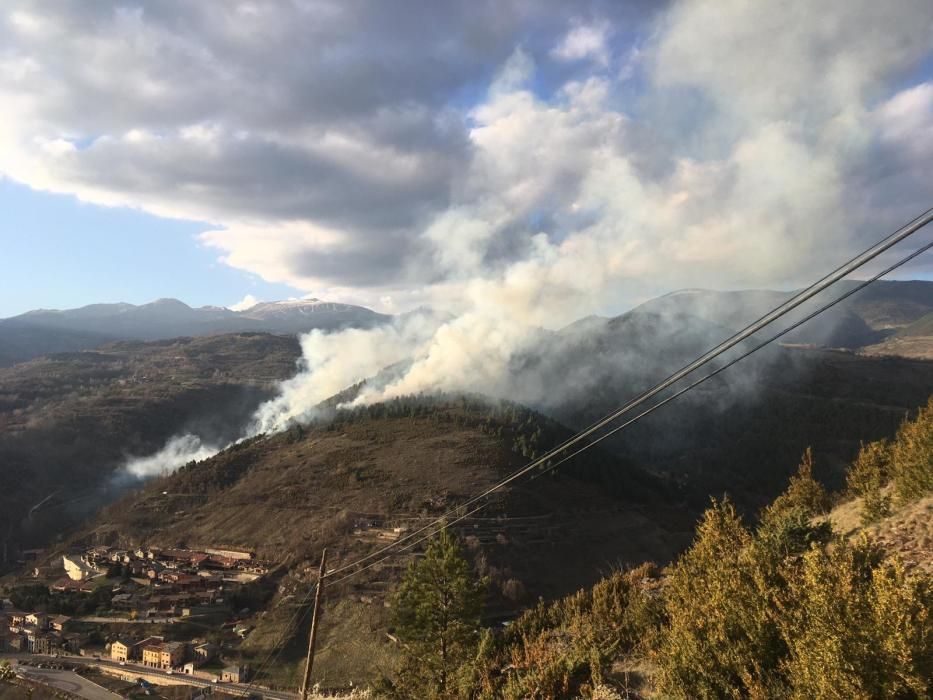 Incendi a una zona forestal de Montellà i Martinet