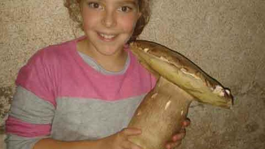 Una niña de Sayago recoge un boletus de 1,6 kilos