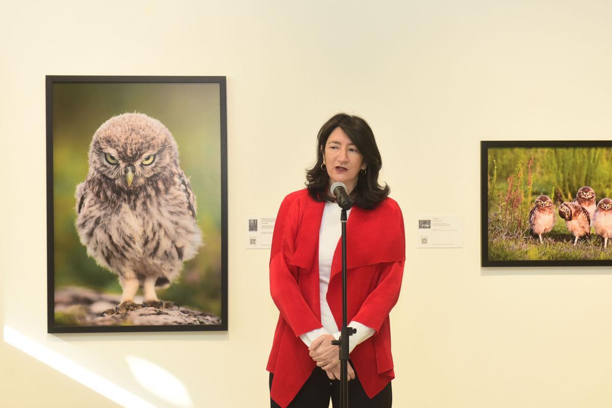 La sede de Afundación de A Coruña expone más de 70 fotografías que muestran diferentes especies de animales con una mirada cómica La sede de Afundación de A Coruña expone más de 70 fotografías que muestran diferentes especies de animales con una mirada cómica