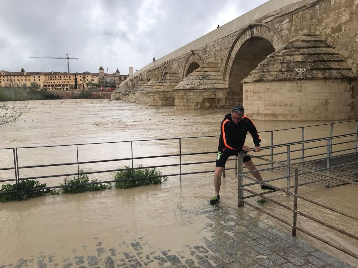 Córdoba, pendiente de la crecida del Guadalquivir