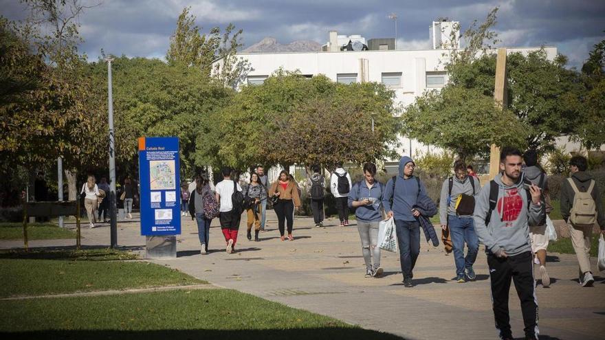 Universidad de Alicante. Retazos  de una historia poco contada