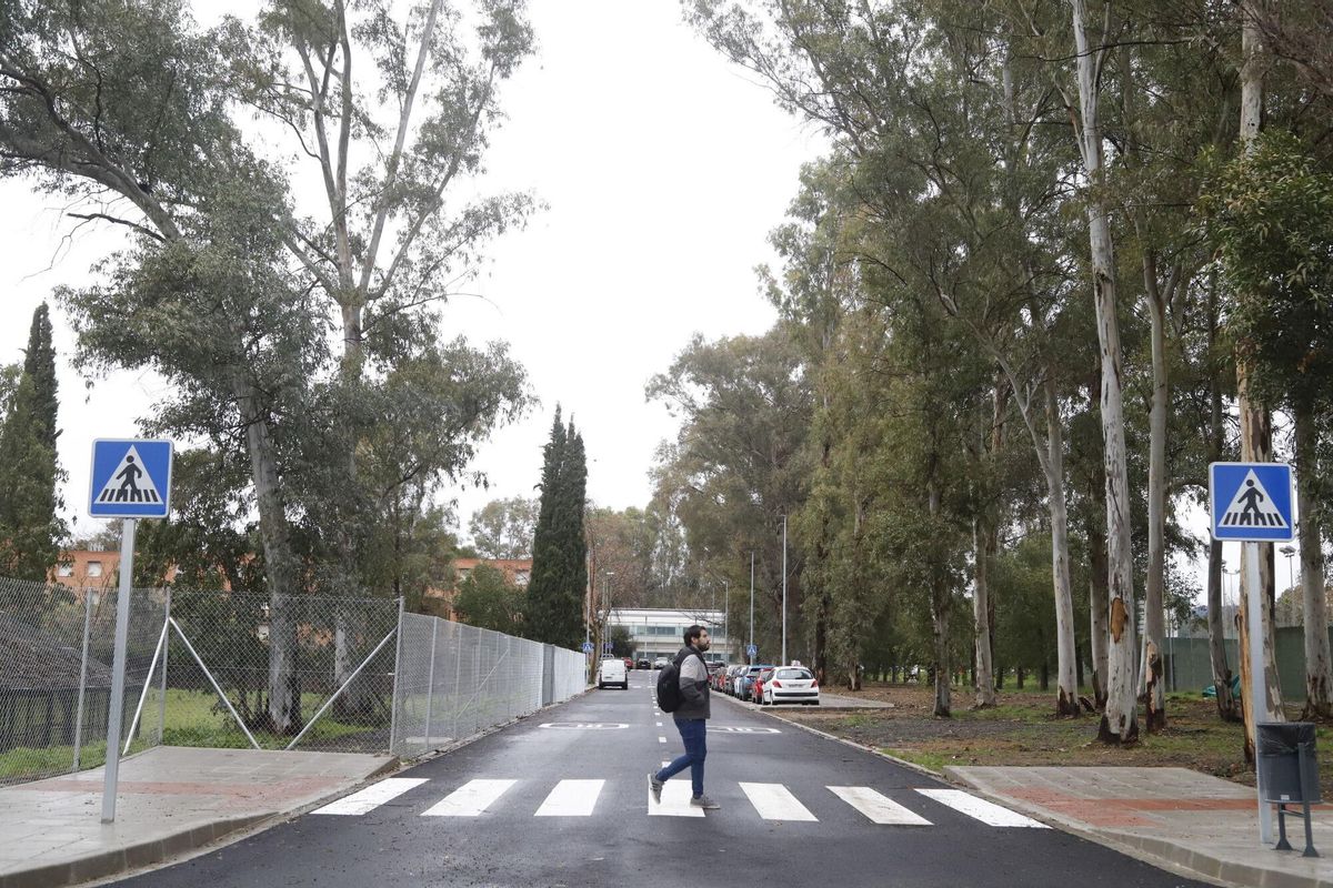 Córdoba El consejero de Universidad, Investigación e Innovación de la Junta de Andalucía, José Carlos Gómez Villamandos, y el alcalde de Córdoba, José María Bellido Roche, han visitado hoy las obras de reurbanización del Campus de Rabanales en su fase 1A. Acompañados del rector, Manuel Torralbo Rodríguez, y de la vicerrectora de Campus Sostenible, Amanda García Marín, han podido conocer de primera mano un proyecto clave que moderniza sus infraestructuras y mejora la experiencia académica