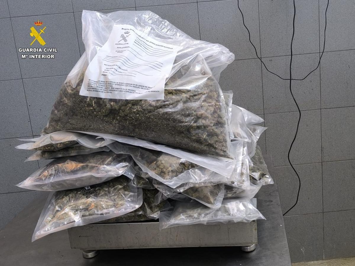Marihuana incautada en Guardamar.