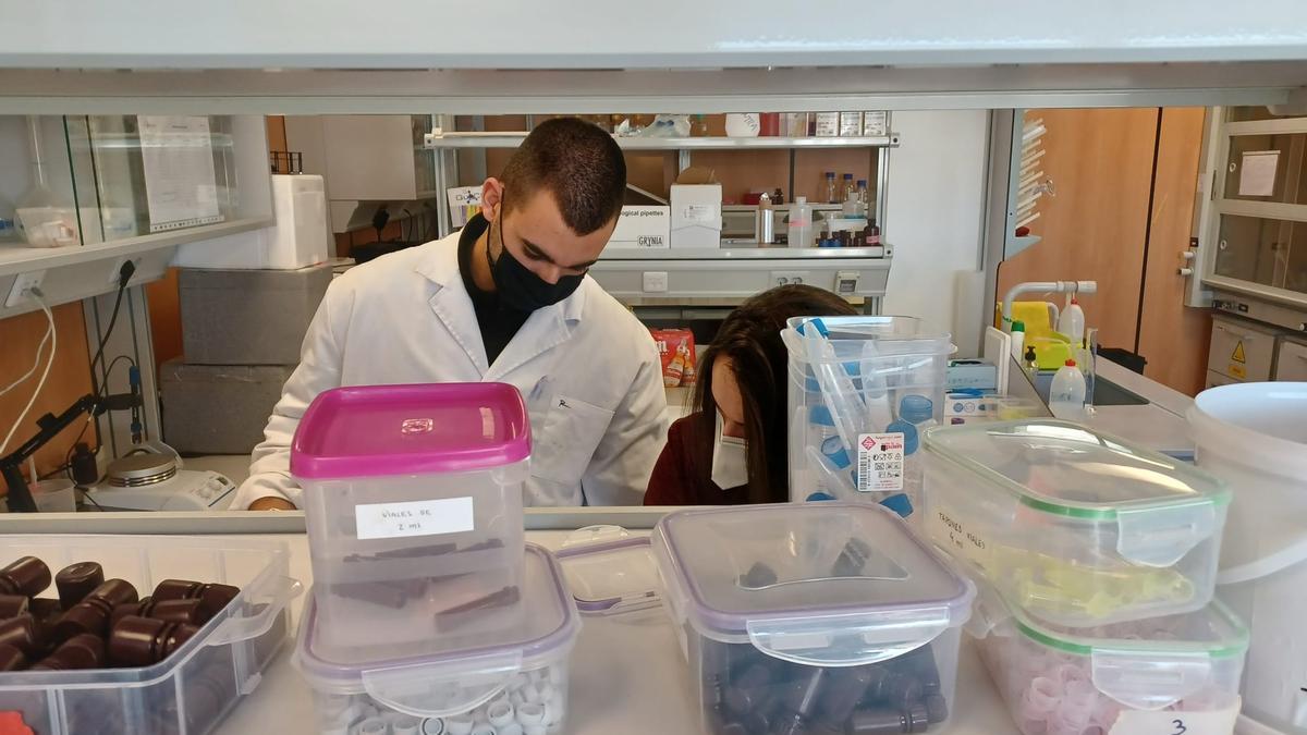 Laboratorio en el CEEI