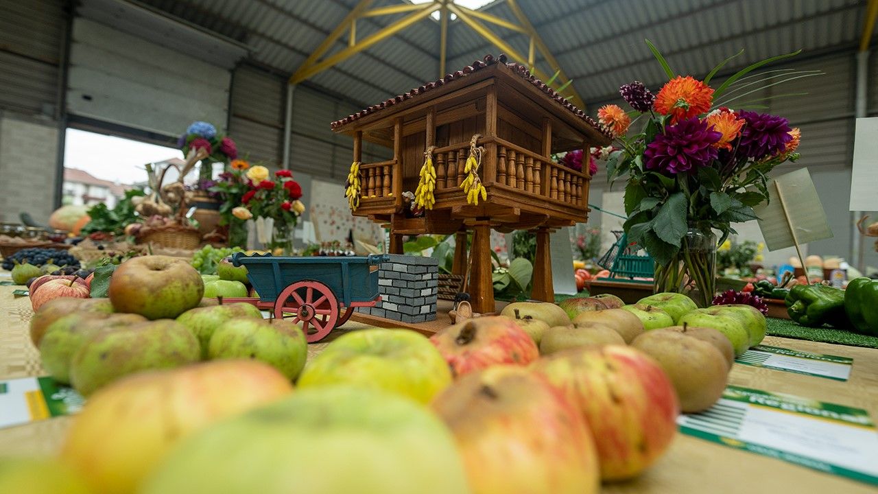 Lo mejor del campo asturiano se cita en Pravia: así se celebra el Festival de la Huerta