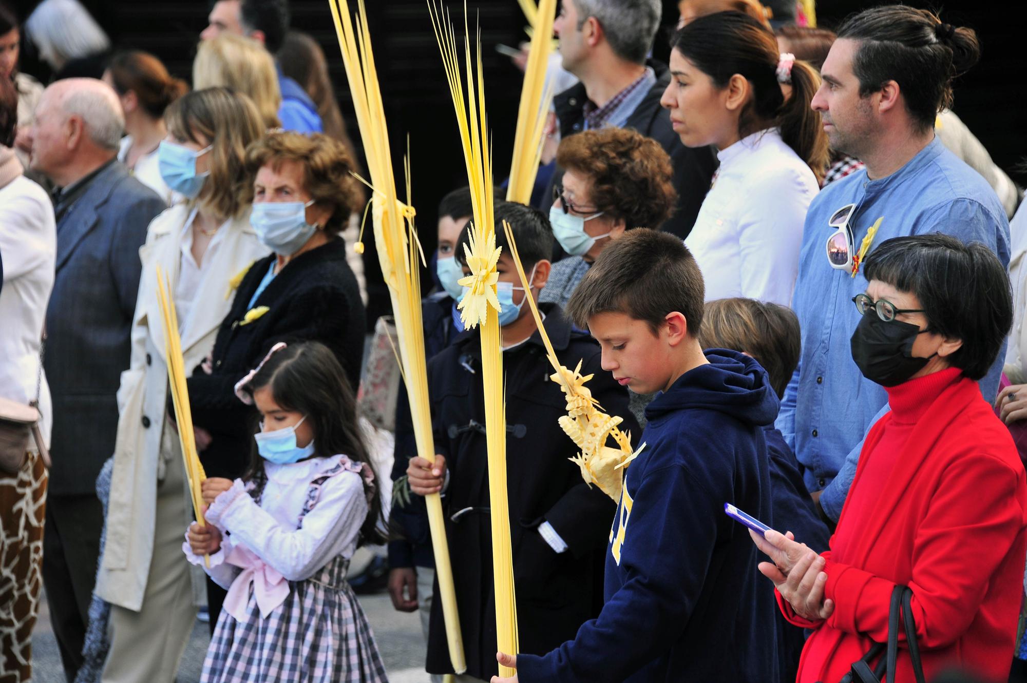 Domingo de Ramos en Elche