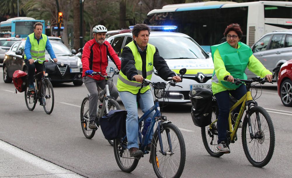 Marcha ciclista por un Bosque Urbano