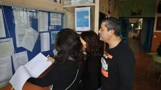 Seis de cada diez familias de la provincia de Alicante eligen el castellano