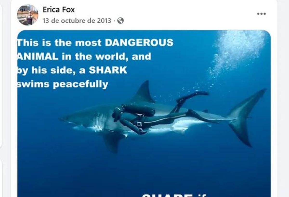 Publicación en Facebook de la difunta Erica Fox.