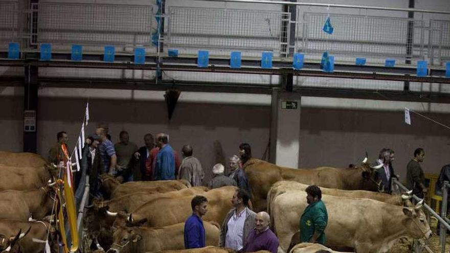 Pola de Laviana inicia esta noche seis días de fiestas de La Pontona