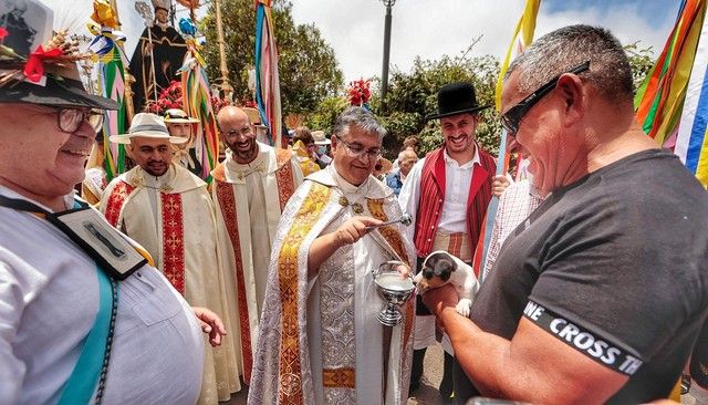 Feria de ganado y procesión por las Fiestas de San Benito en La Laguna, julio 2022