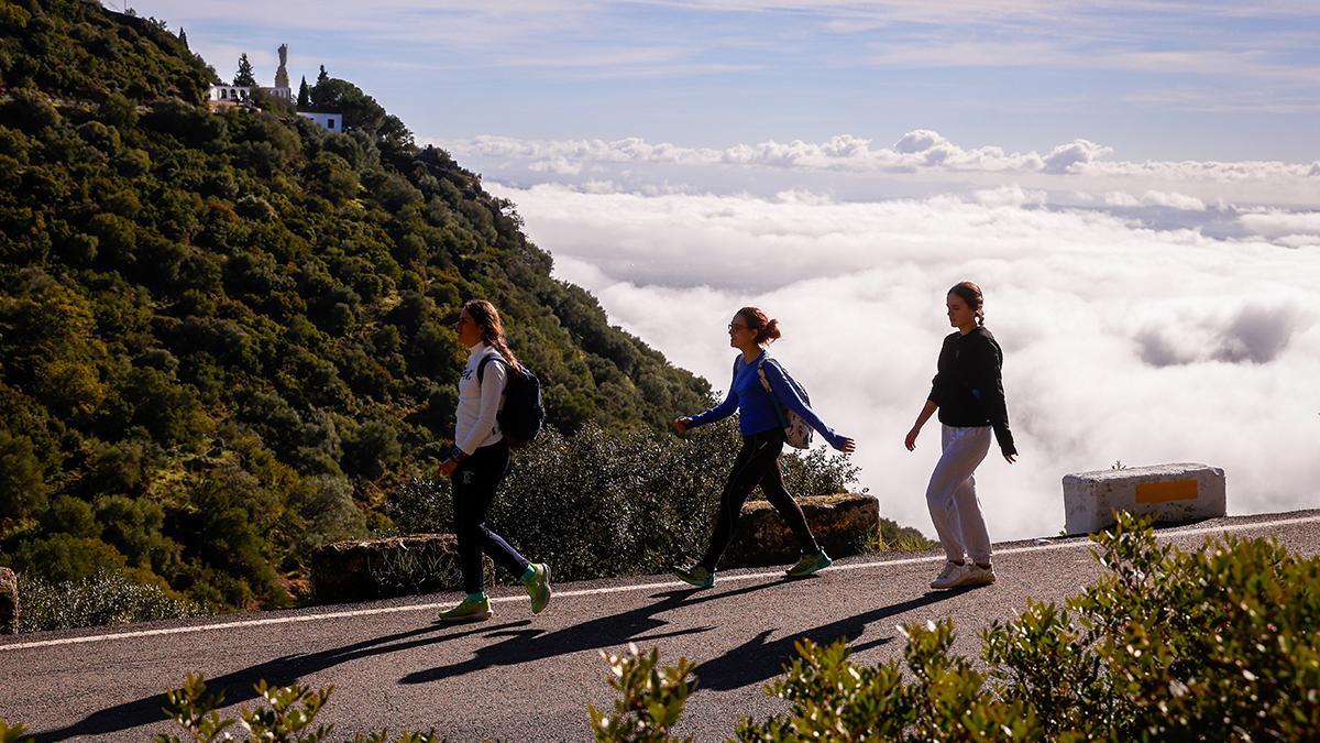 Tres jóvenes caminan por el cinturón verde de Córdoba.