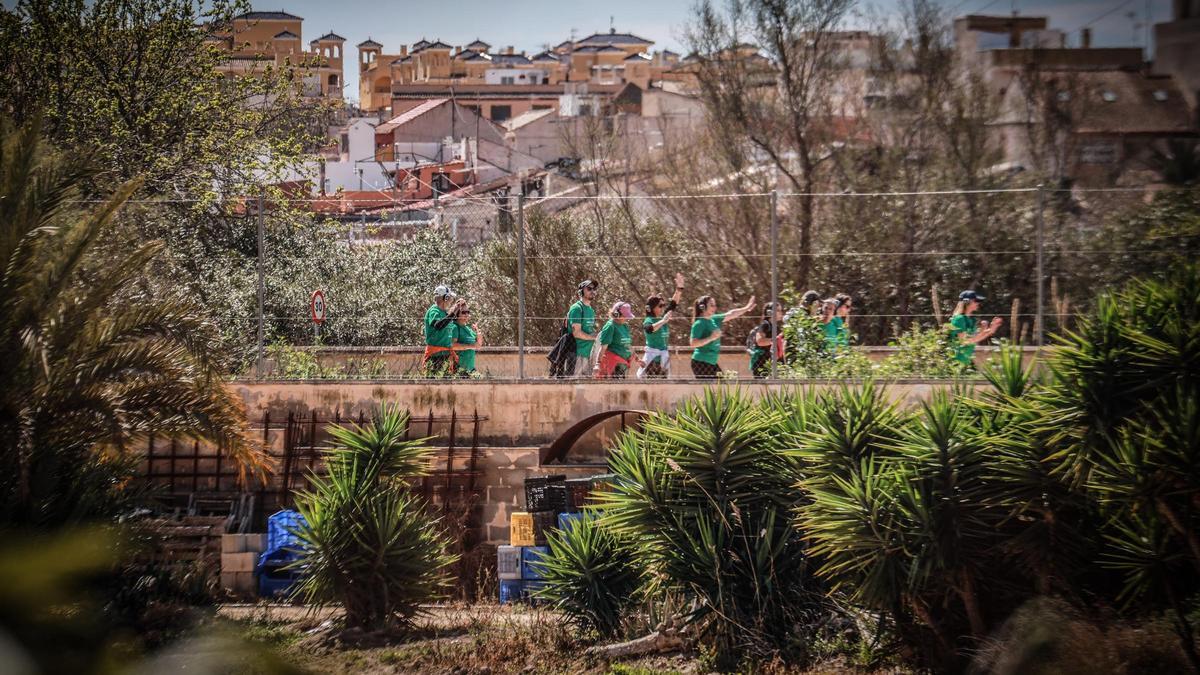 Paseo de 6 kilómetros por Almoradí