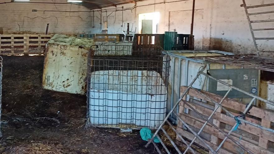 Investigan a dos granjeros de Alhama por el reguero de cadáveres de cabras y ovejas en sus tierras