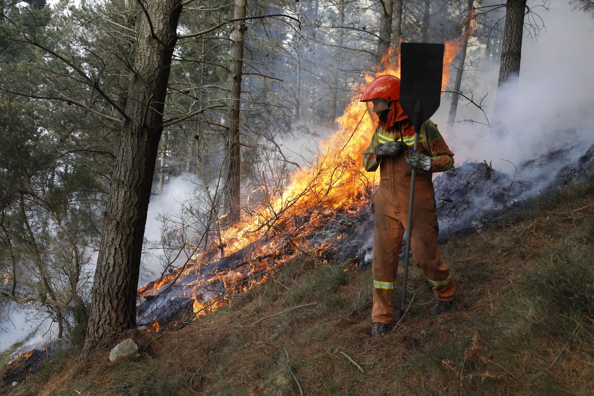 La lucha contra el fuego en el incendio entre Nava y Piloña