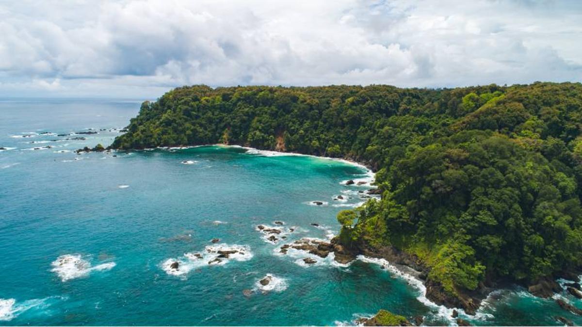 Isla del Caño Puntarena