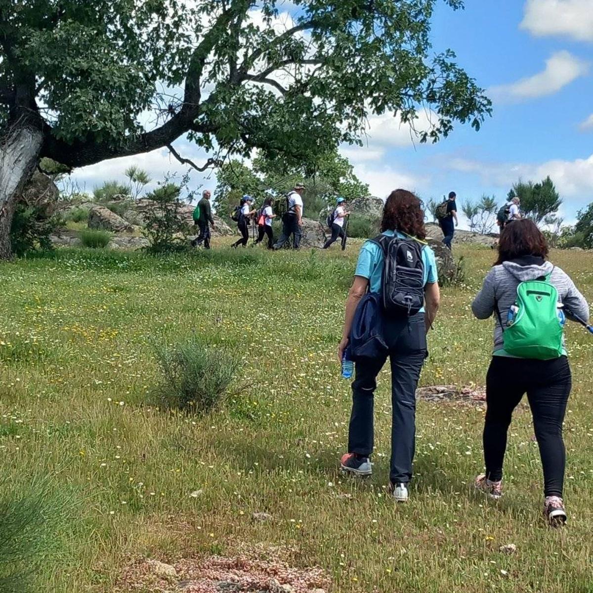 Participantes durante la ruta El Robledal, en Aceituna.