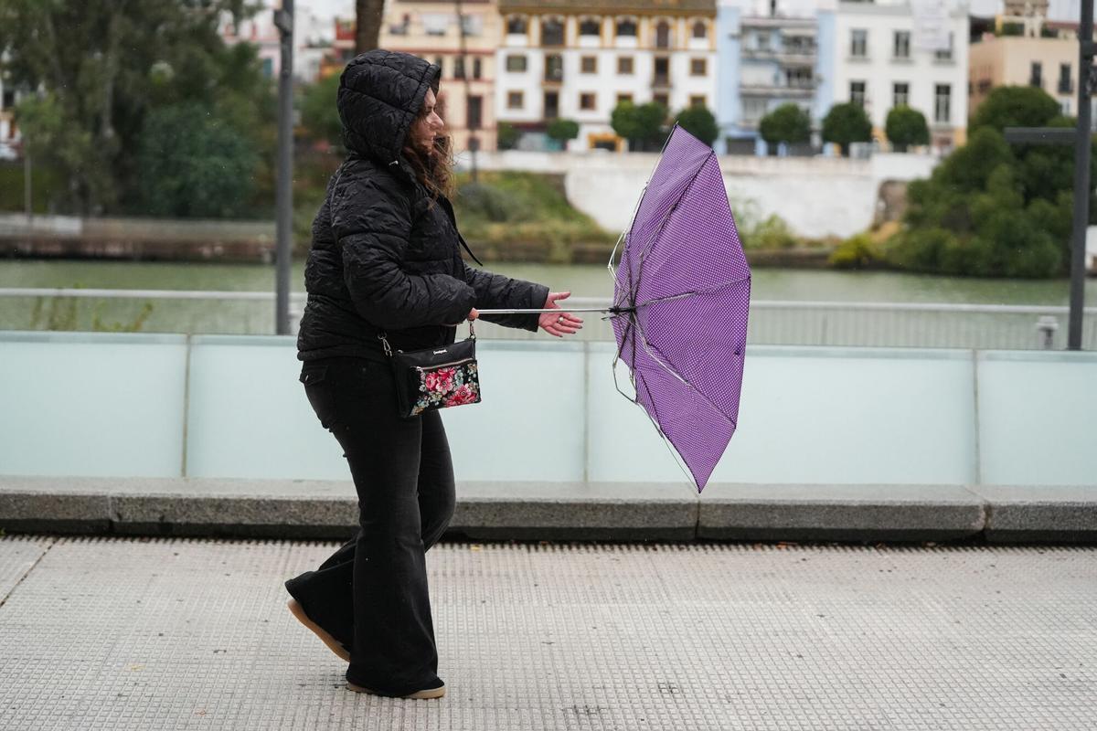 Imagen de archivo de los efectos del viento en Sevilla capital.