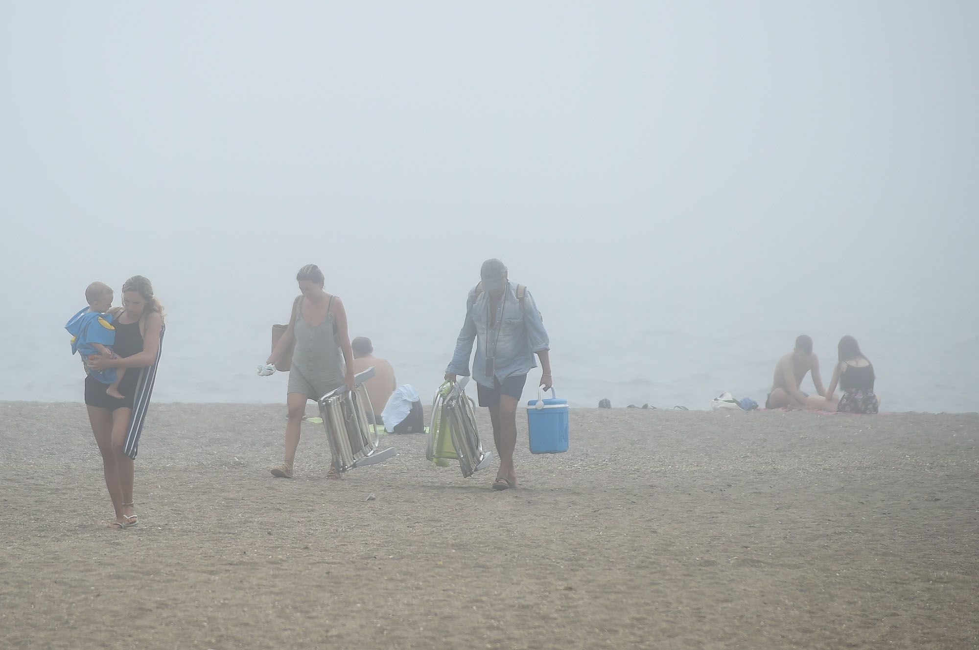 El taró cubre el litoral de Málaga